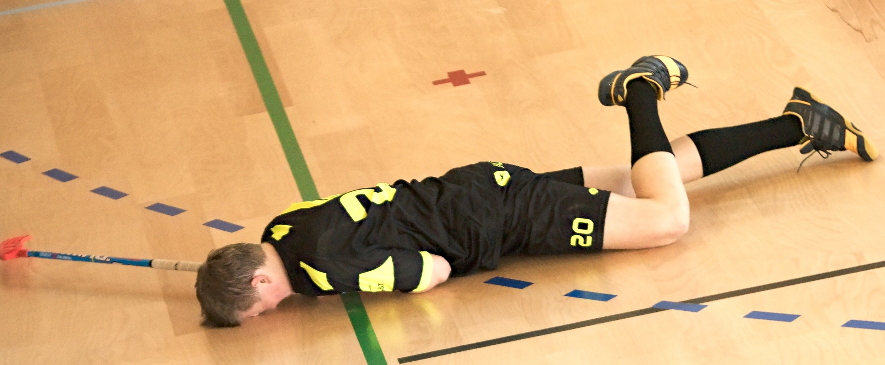 JunciLedec241015 054